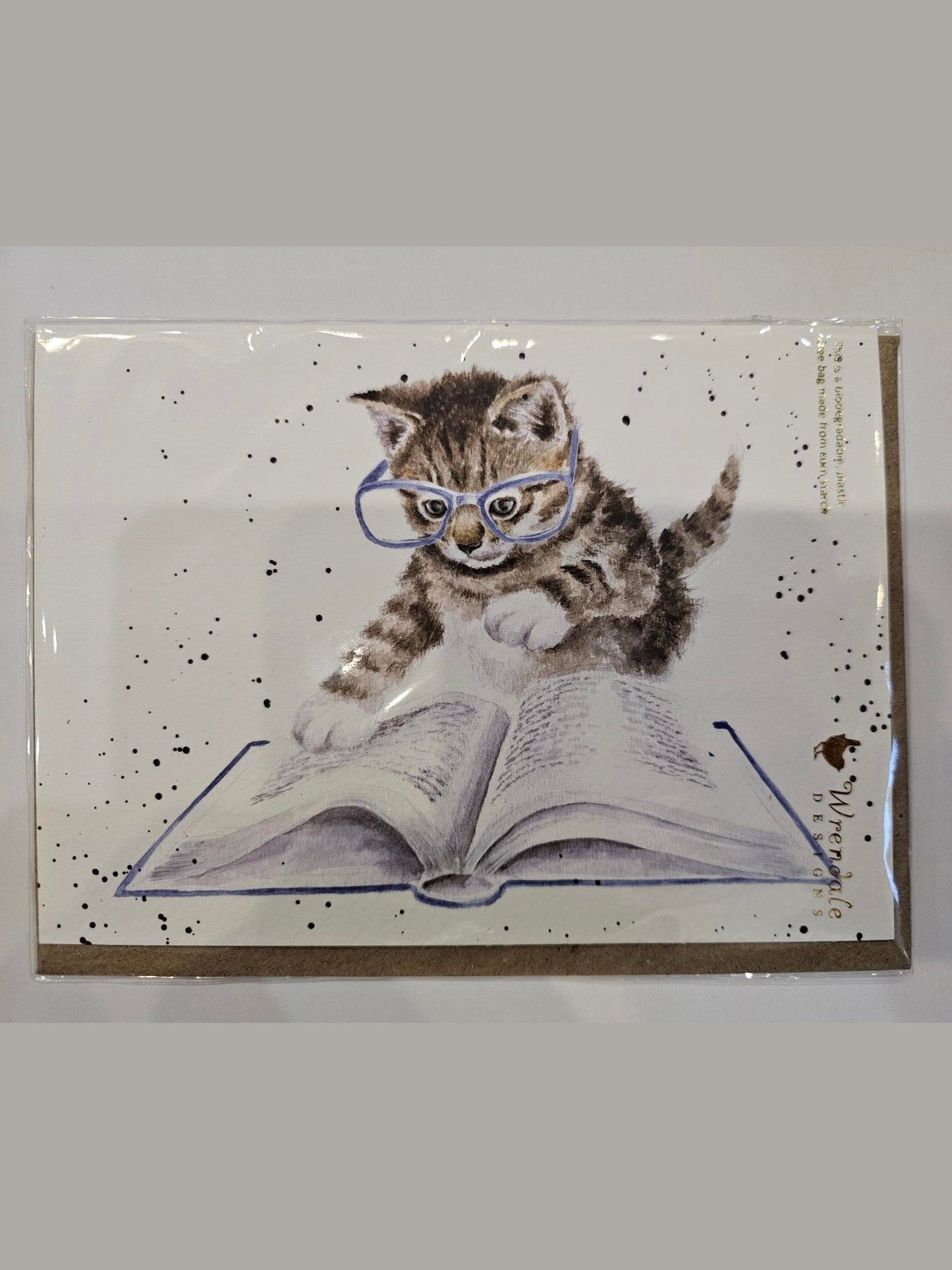 Card - ACS196-The book Worm - Cat