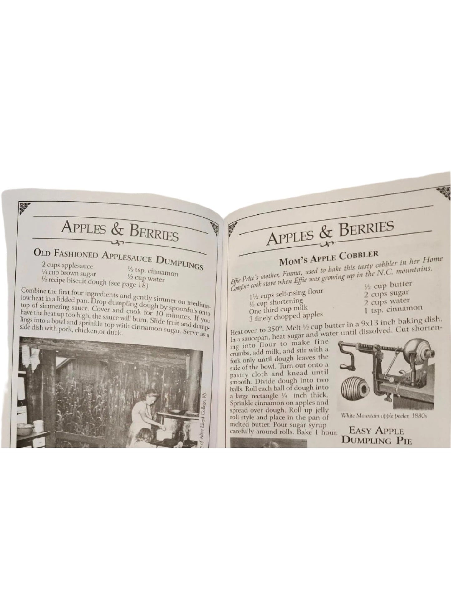 Cookbook Secrets of the Great Old Timey Cooks Historic Recipes