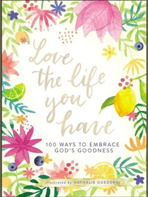 Book Inspirational Love The Life You Have 19636