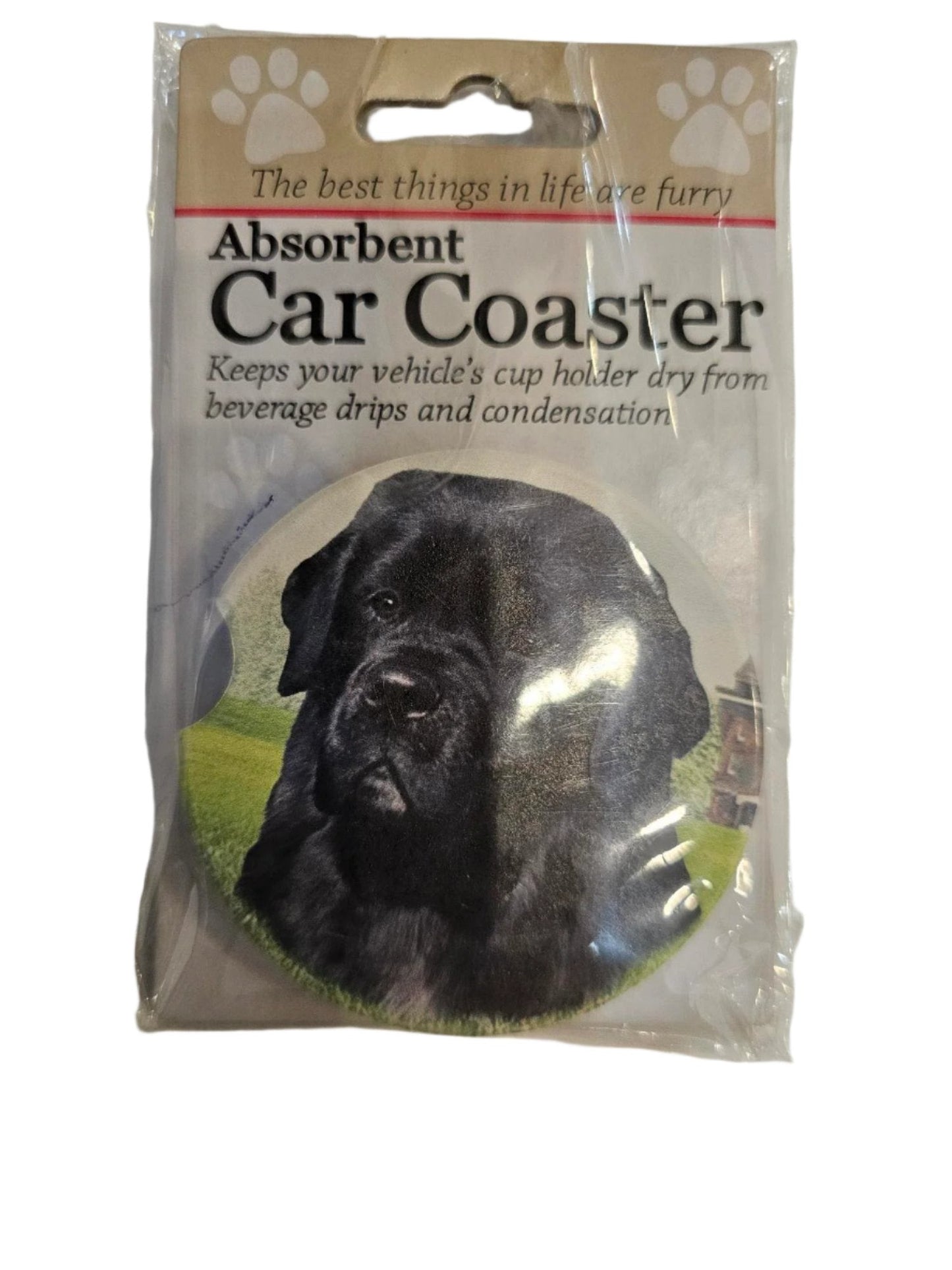 Car Coaster Newfoundland 231-25