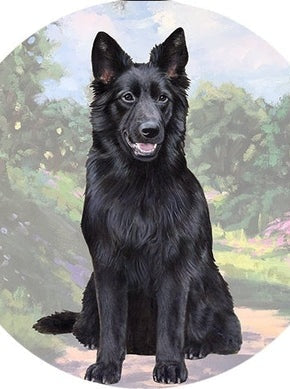 Car Coaster Black German Shepherd Dog 233-75b