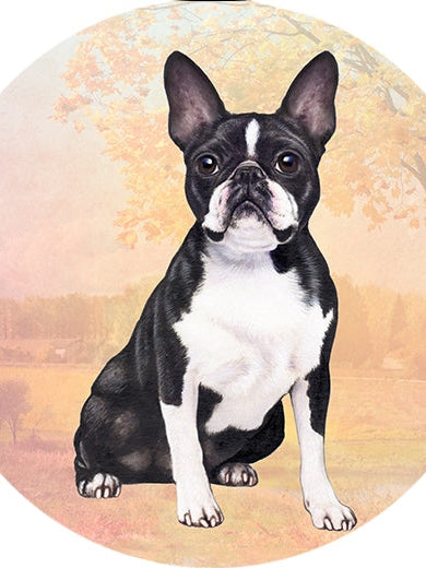 Car Coaster Boston Terrier Dog 233-76a