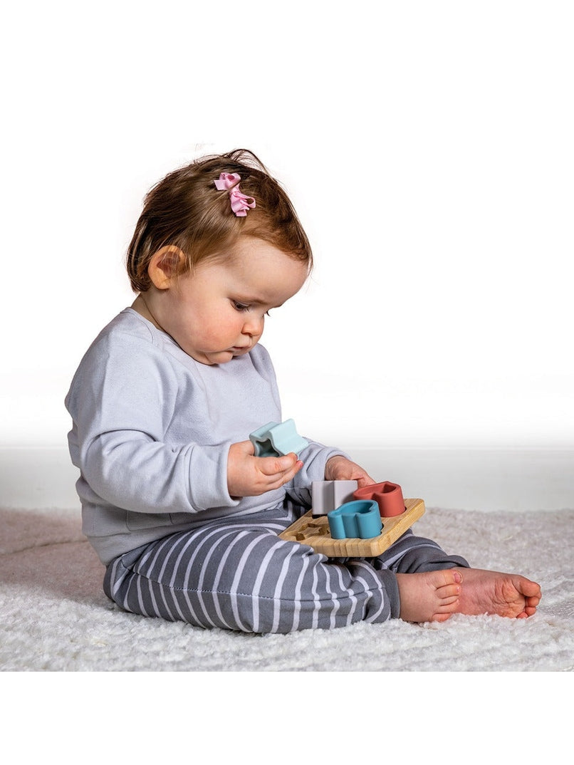 Infant Teether Sorting Toy