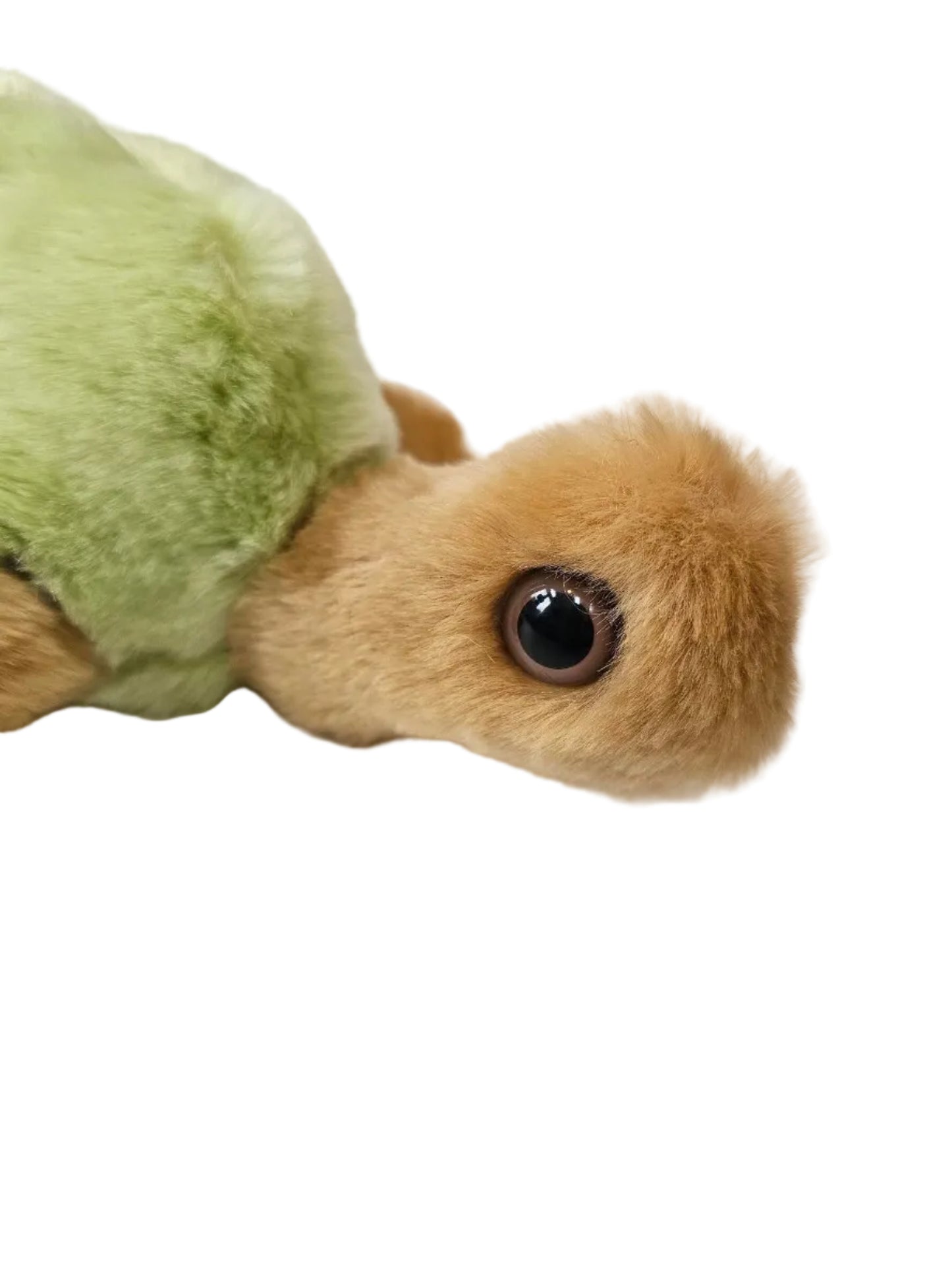 A close-up of a plush sea turtle toy with a light green shell and a tan fuzzy head and body, resting on a white surface.