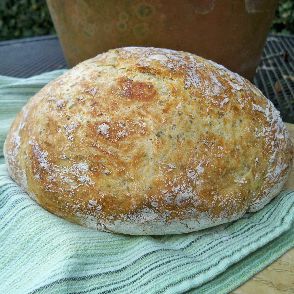 Boule Rosemary Garlic No Knead Yeast Bread Mix Rgb
