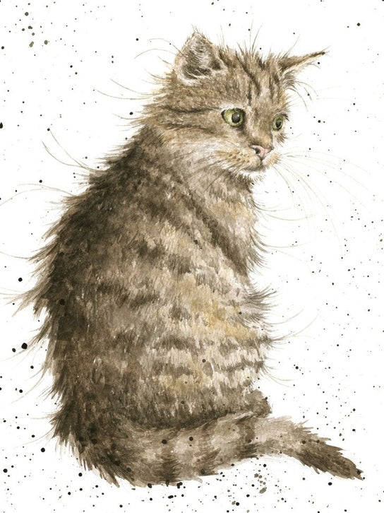 Card-Acs070-The Cat's Whiskers-The Country Set