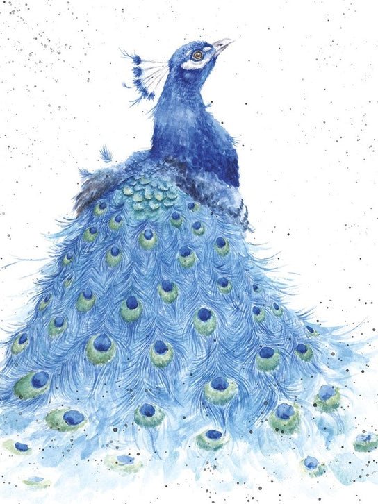 Card - ACS107 -Tail Envy Peacock - Blank Inside