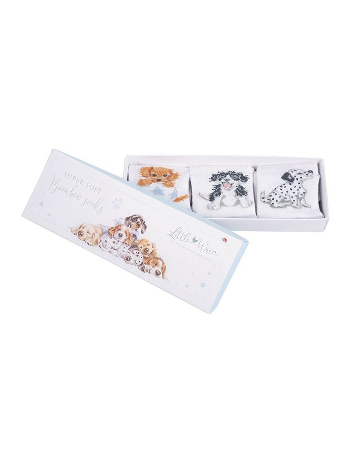 Baby Sock Gift Set - LTW-SOCK004 - Little Paws (6-12 mos)