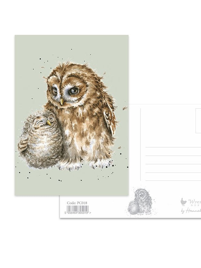 Postcard - PC018- OWLS