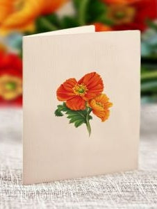 Flower's Boutique Paper Cards Pop Up 6"Mini French Poppies 7404