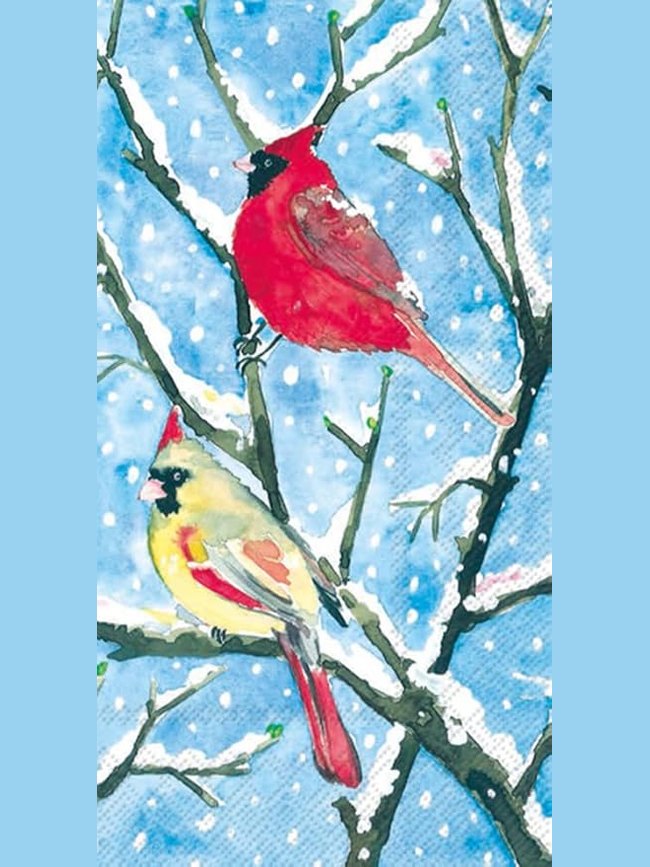 Dinner Napkins Winter Birds 16pc 000162