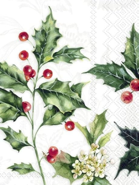 Dinner Napkins Alexa Cream 16pc 1013260