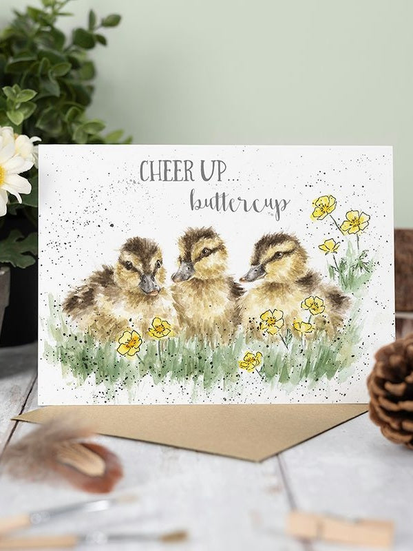 Card - AOC102 - Cheer Up Buttercup - Ducks