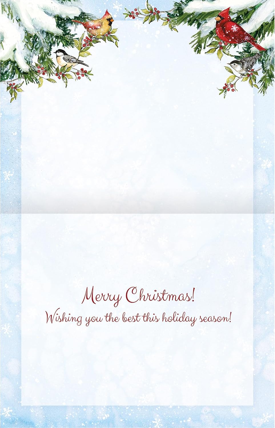 Card Christmas Winter Birds Assorted 18Pk 1008129