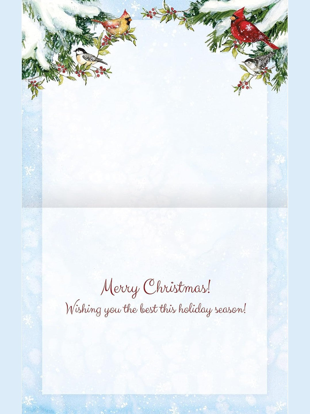 Card Christmas Winter Birds Assorted 18Pk 1008129