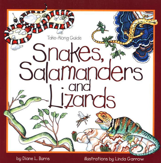 Book Snakes Salamanders &amp; Lizzards Children's 