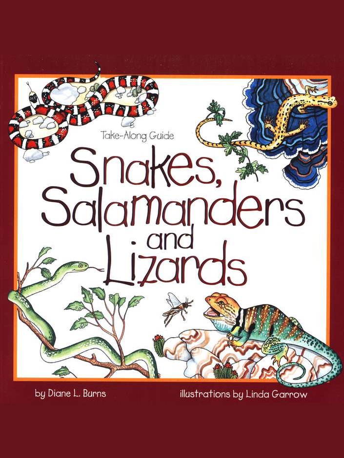 Book Snakes Salamanders & Lizzards Children's