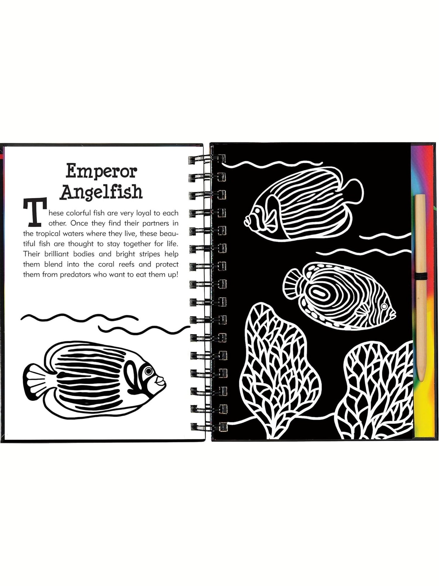 Scratch & Sketch Under The Sea 32608