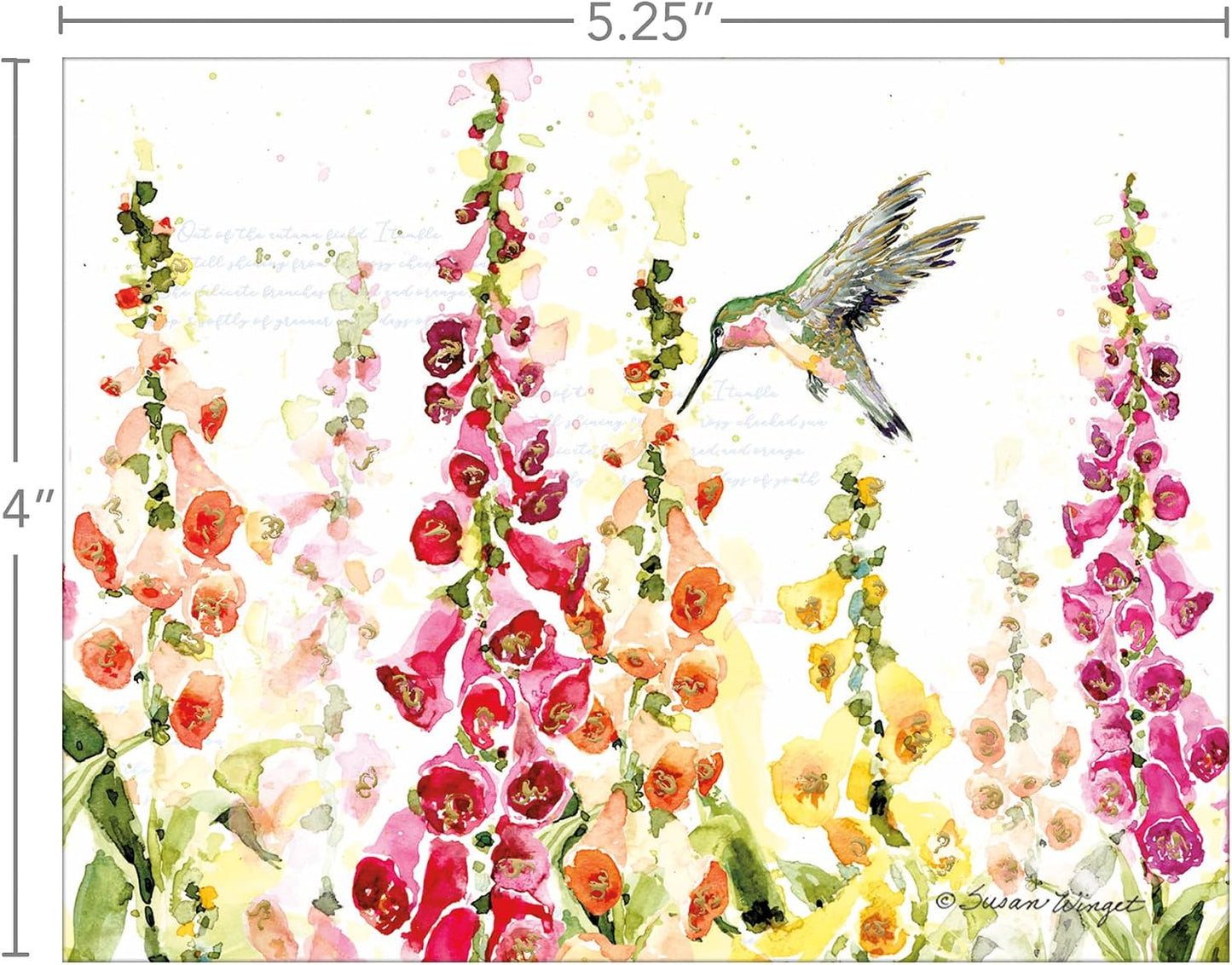 Note Cards Flutter Hummingbird 13Pk 1005990