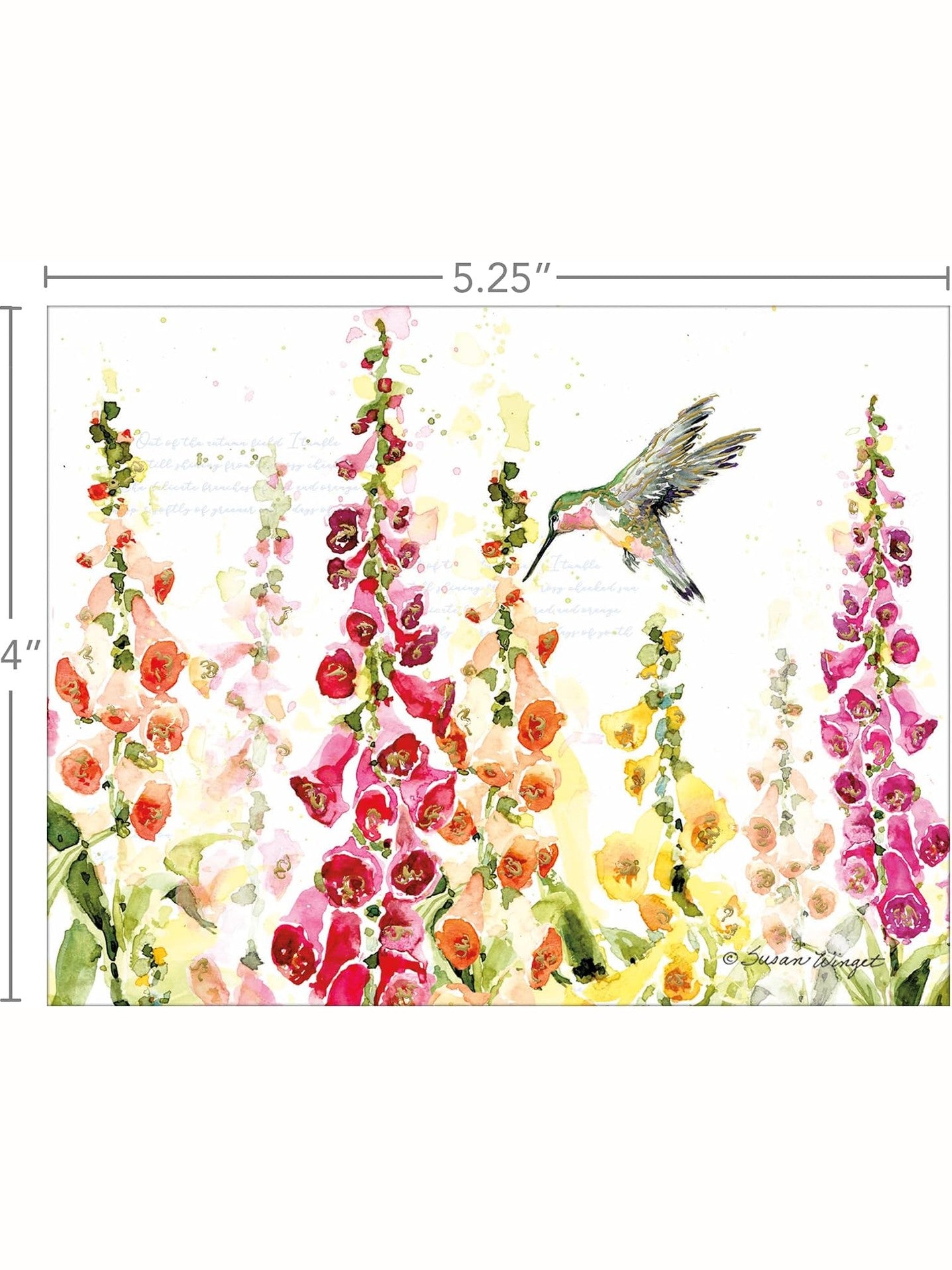 Note Cards Flutter Hummingbird 13Pk 1005990