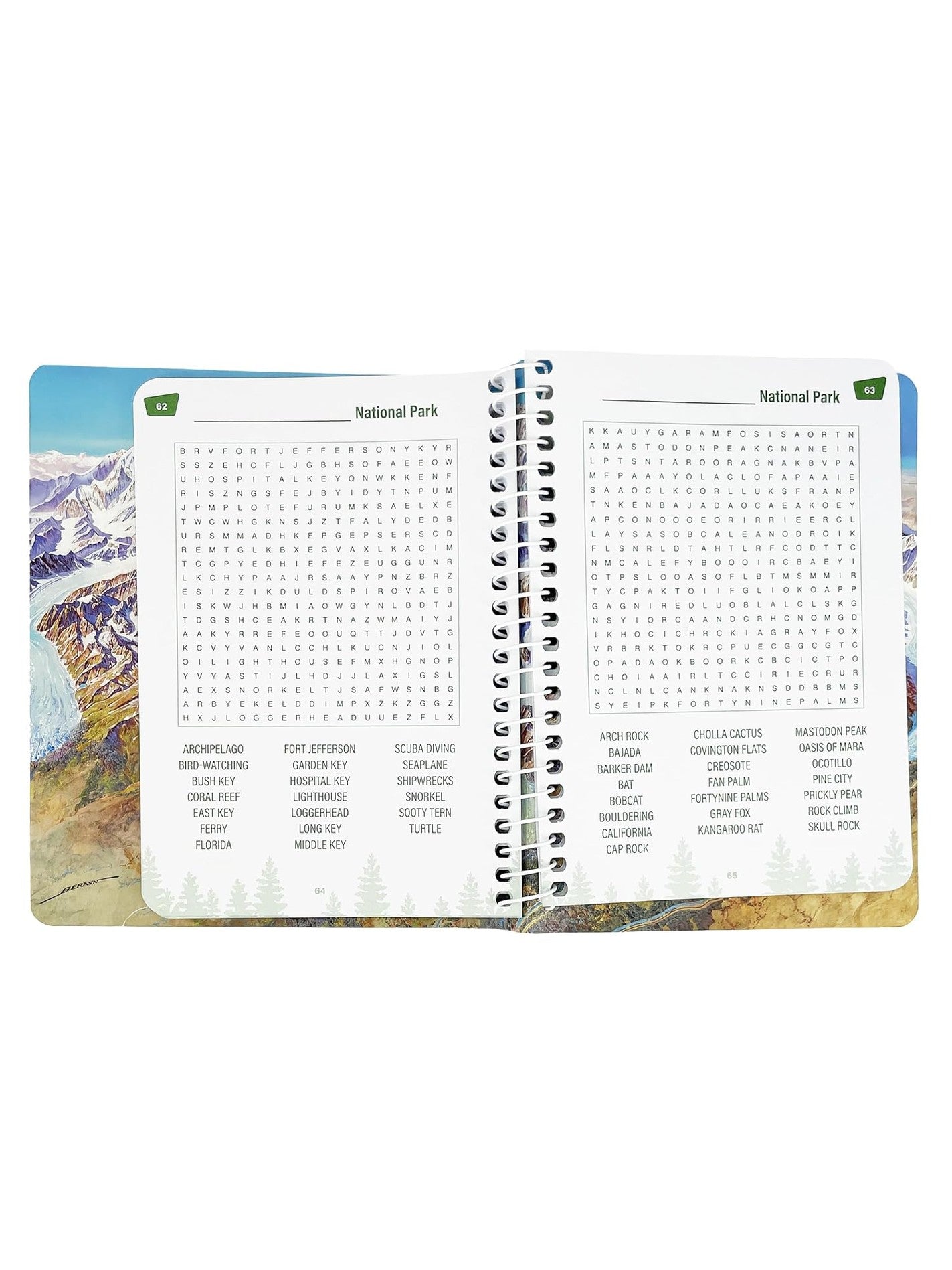 Puzzle Book National Parks Word Search 391337