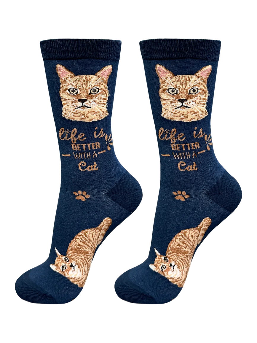 Socks Orange Tabby 841-9