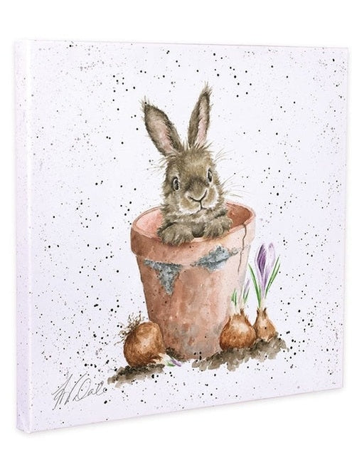 Canvas Art The Flower Pot Bunny 8x8" Cans-CS186