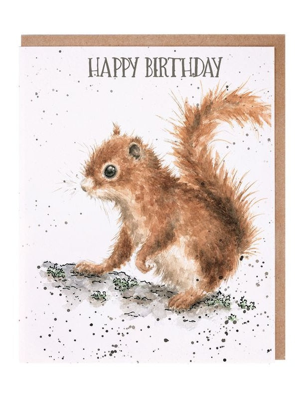 Card - AOC079 Happy Birthday - Squirrel