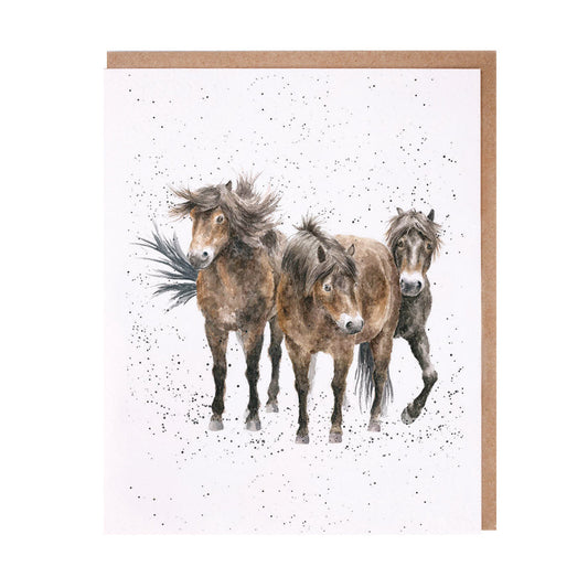 Card - ACS113 - The Three Amigos Horses - Blank Inside 