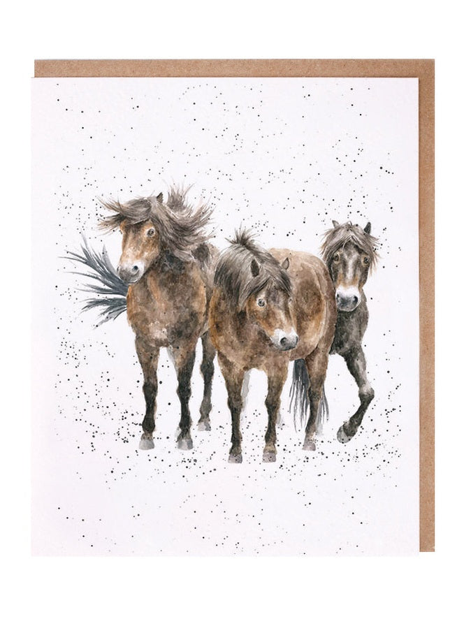 Card - ACS113 - The Three Amigos Horses - Blank Inside