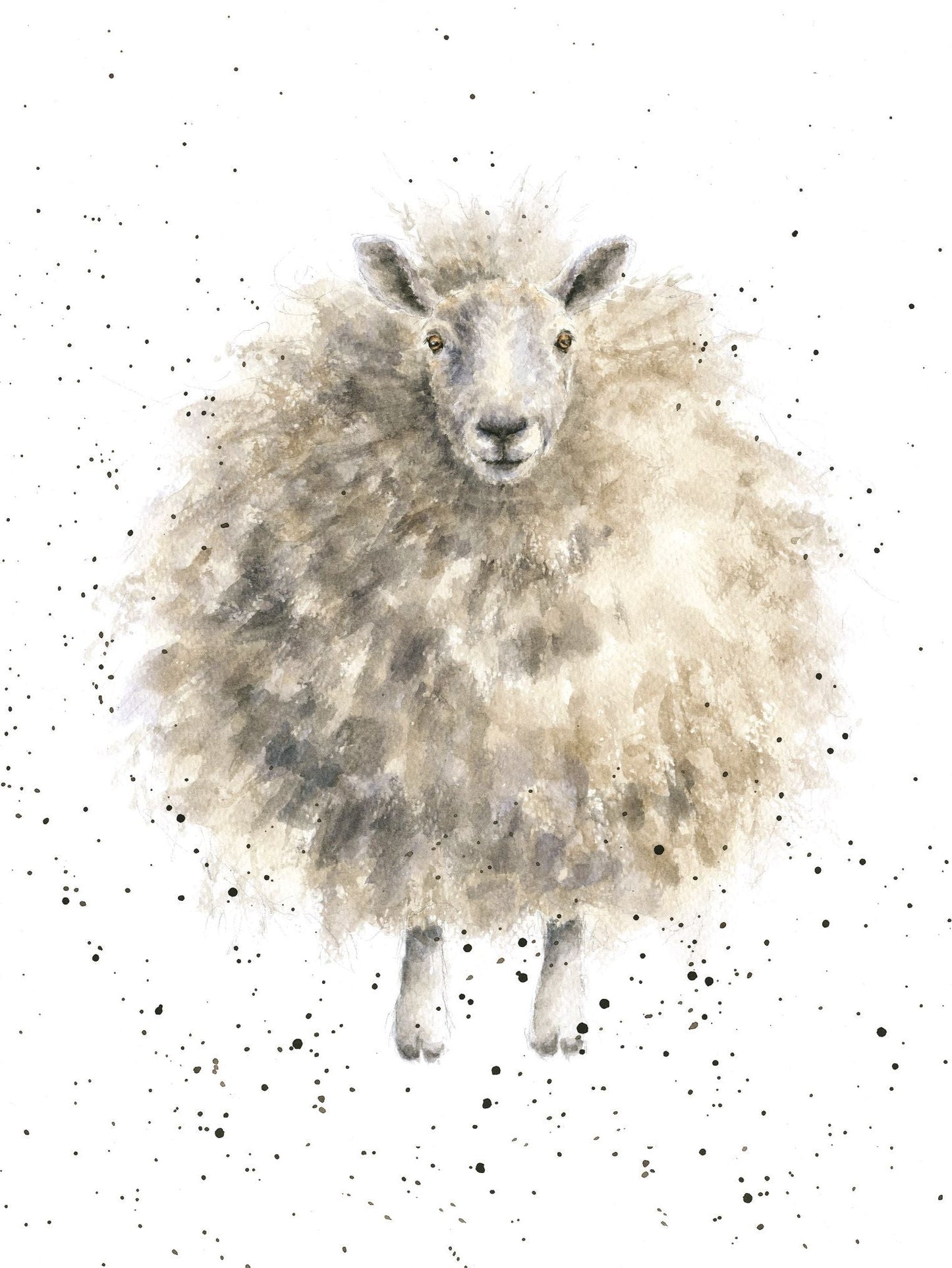 Card - ACS132 - Wooly Sheep - Blank Inside