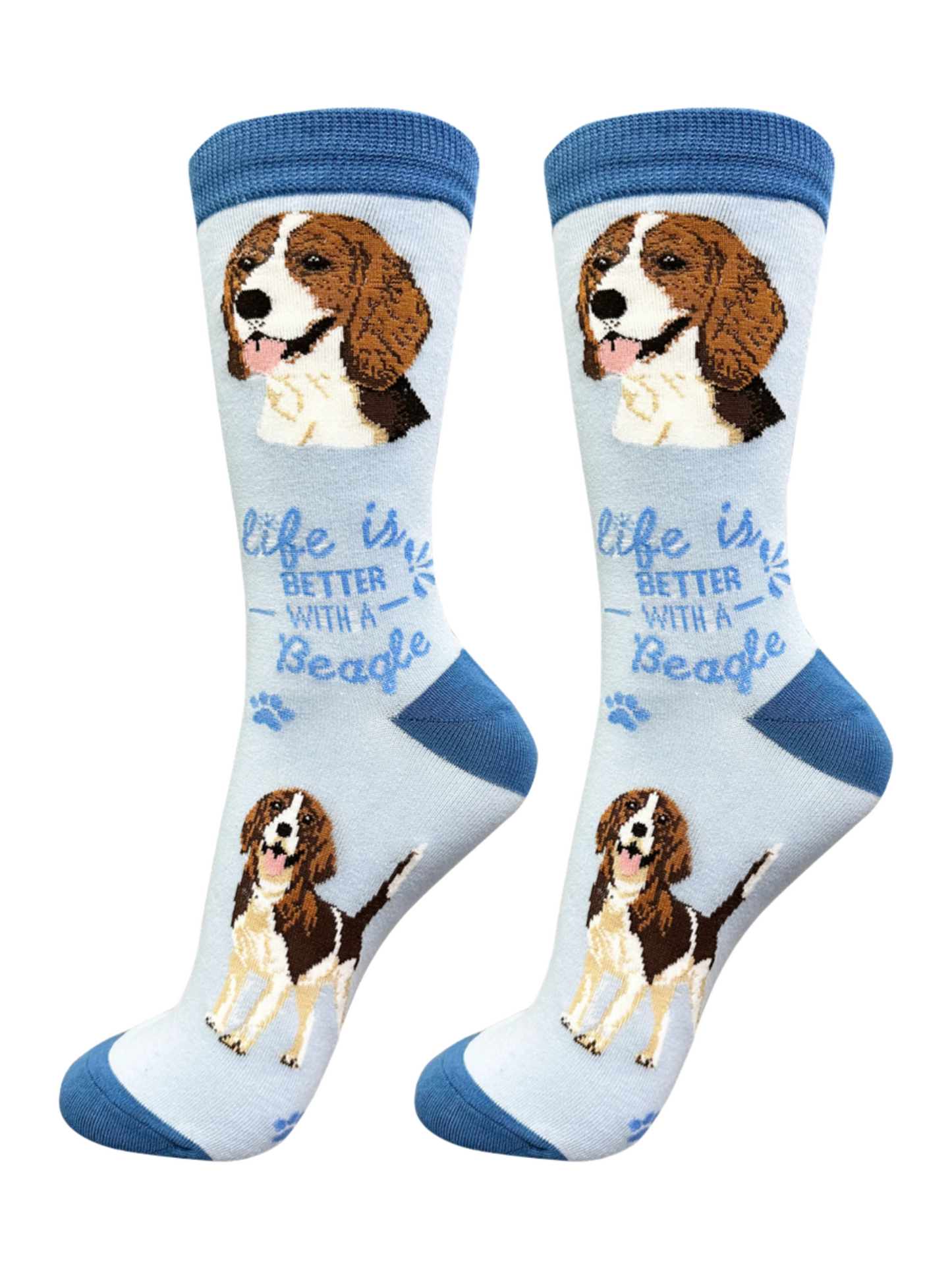 Socks Beagle Dog 840-3