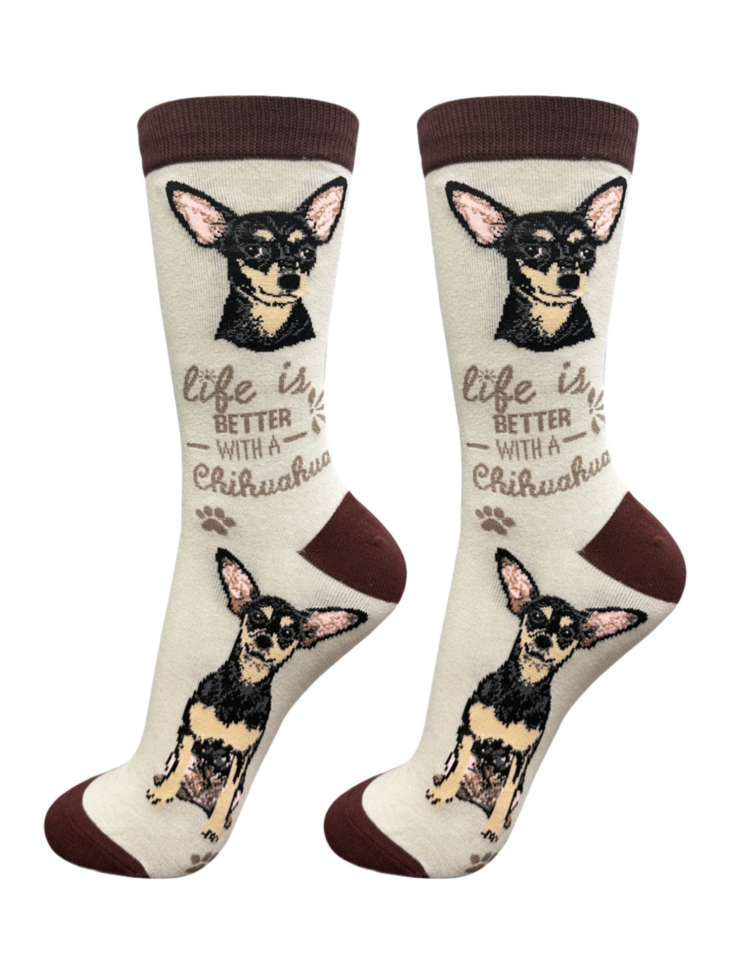 Socks Chihuahua Dog Black 840-11