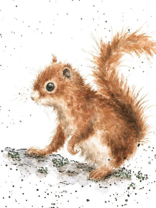 Card - ACS099 - Squirrel - blank inside - ACS099