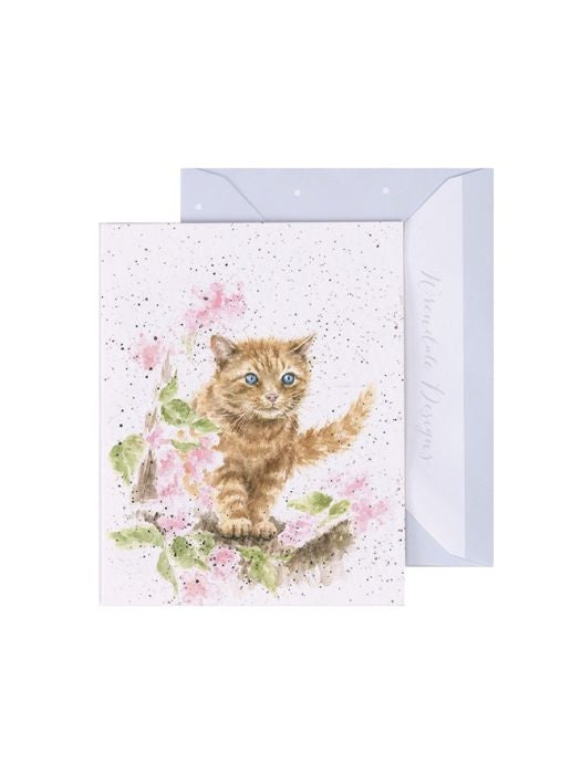 Gift Enclosure Card -GE062 -The Marmalade Cat'