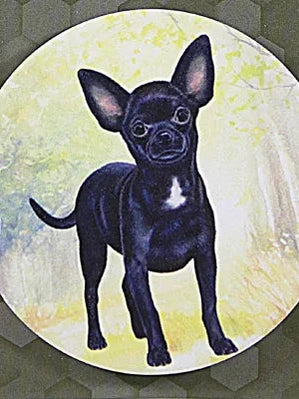 Car Coaster Chihuahua Black 233-11