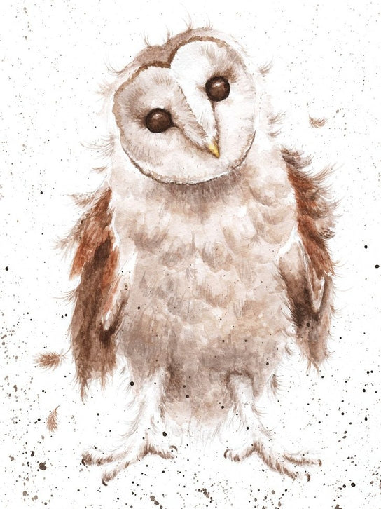 Card - ACS018 - Owl