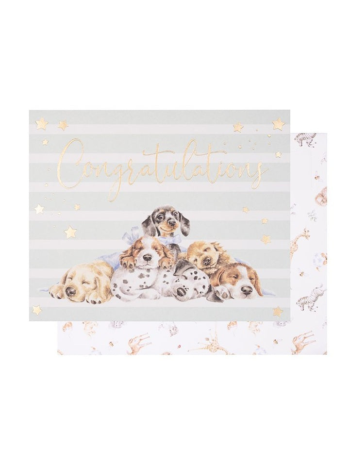 Card - LTW-AOC003 PUPPY CONGRATULATIONS