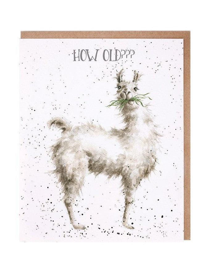 Card - AOC129 - Birthday - How Old? Llama