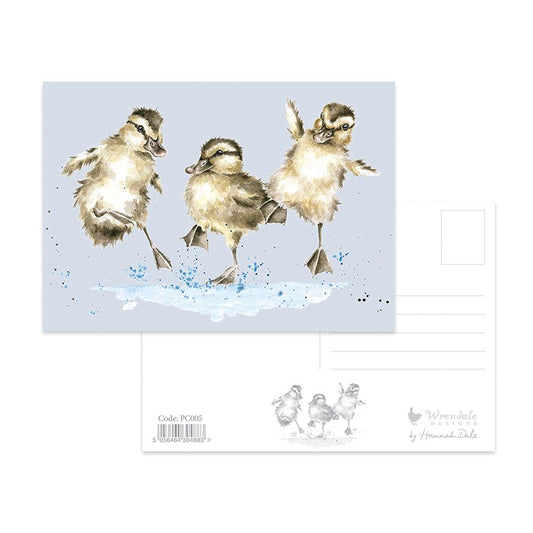 Postcard - PC005- Ducks 