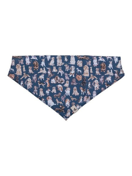 Dog Bandana - PETBAND001-XS/SM - Blue