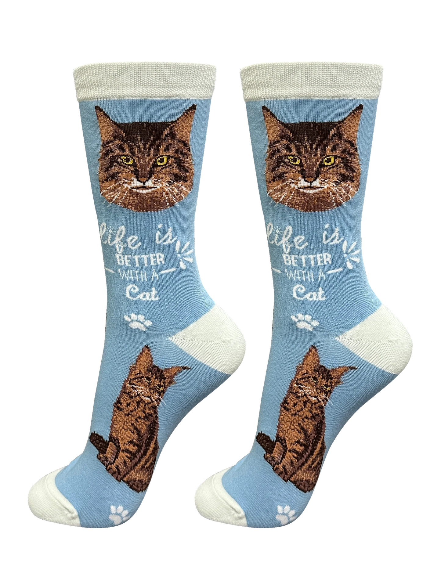 Socks Maine Coon Cat 841-6