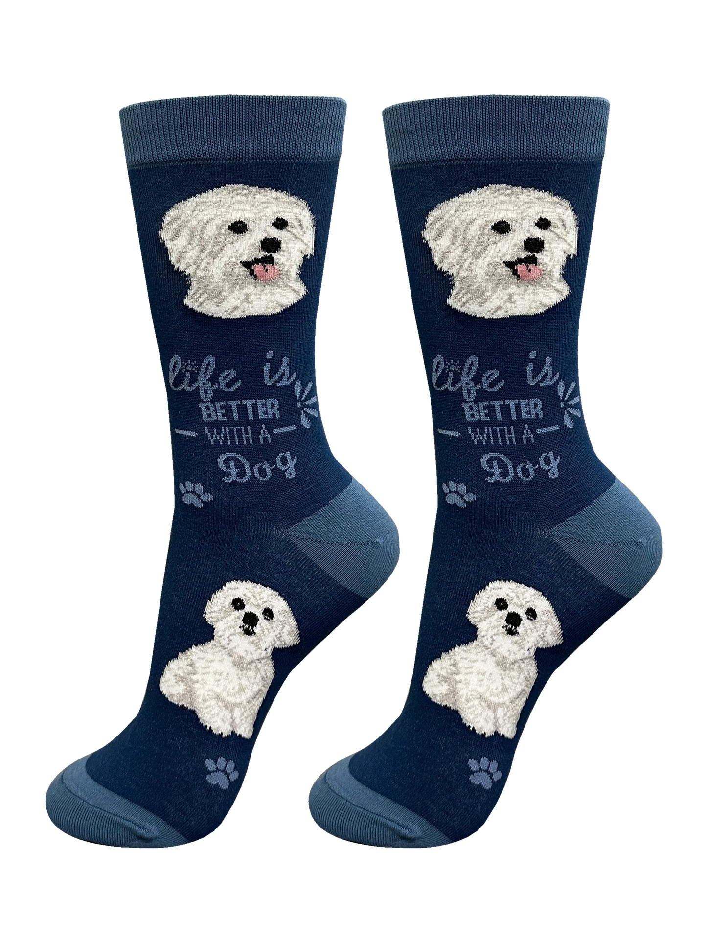 Socks Maltese Dog 840-24