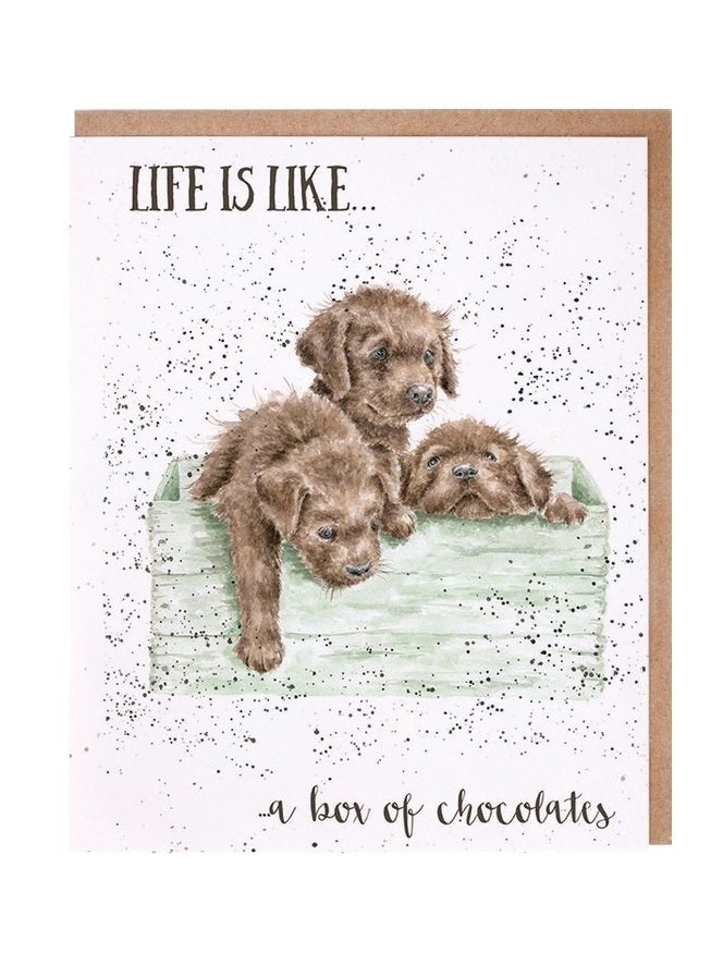 Card - AOC066 - Labrador Dogs - Blank Inside