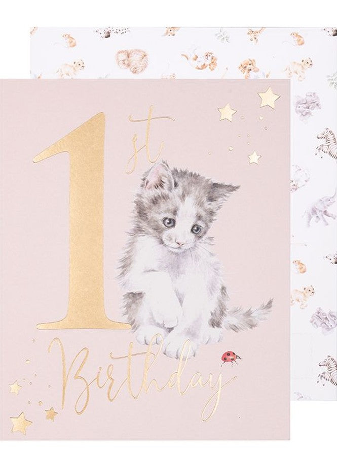 Card - LTW-AOC008- 1st Birthday - Kitten Cat