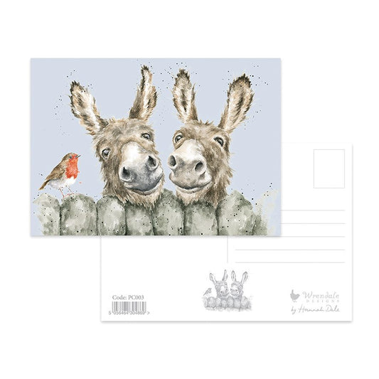 Postcard - PC003 Donkey 