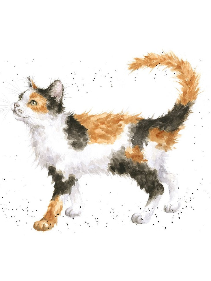 Card ACS143 Calico Cat Blank Inside
