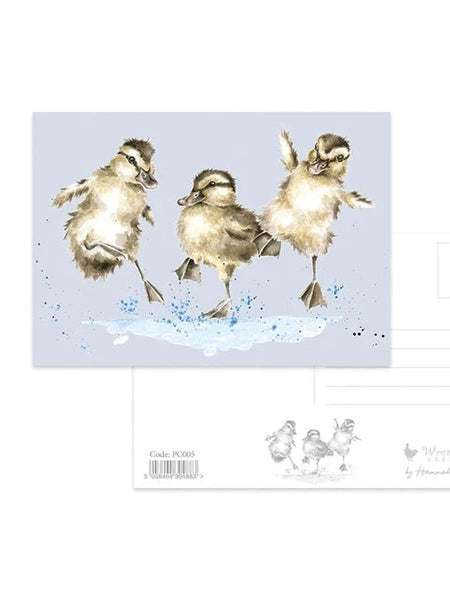 Post Card Puddle Ducks 4x6" Pc005