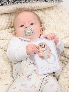 Baby's First Year - Milestone Cards - LTW- MC001