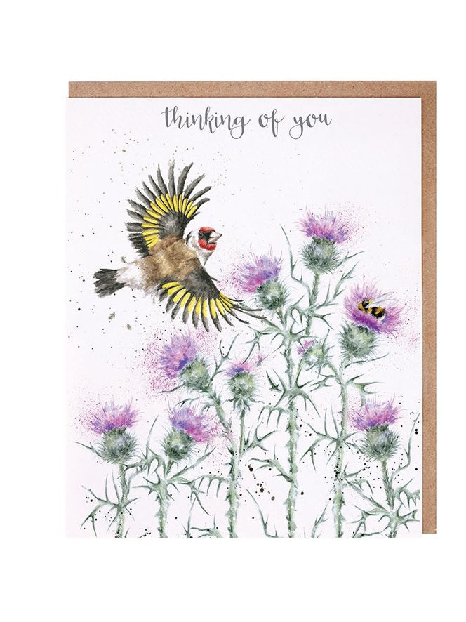 Card - AOC FINCH